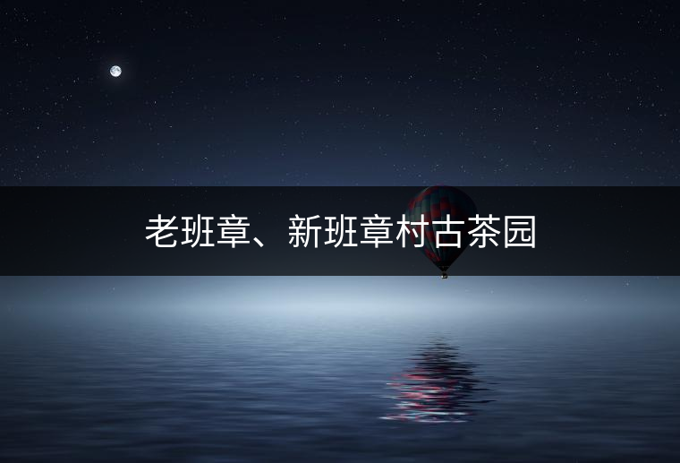 老班章、新班章村古茶園