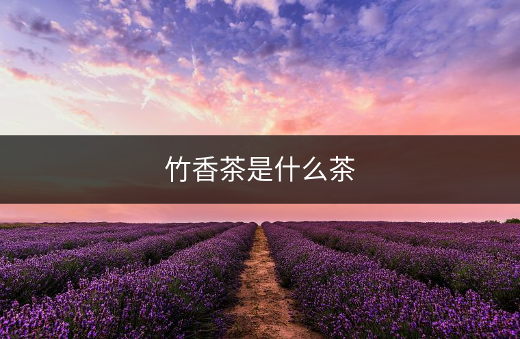 竹香茶是什么茶 竹香茶是什么茶