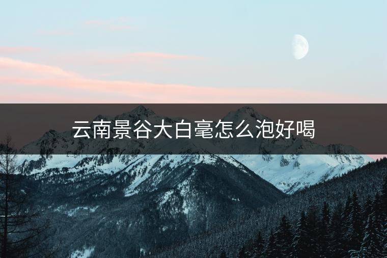 云南景谷大白毫怎么泡好喝 云南景谷大白毫怎么泡好喝