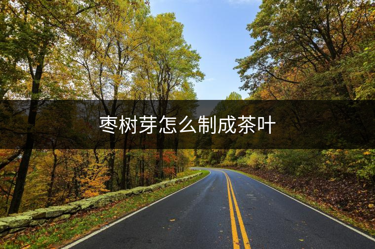 棗樹(shù)芽怎么制成茶葉 棗樹(shù)芽怎么制成茶葉
