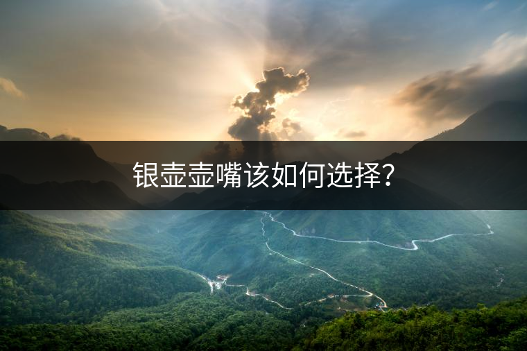 銀壺壺嘴該如何選擇？