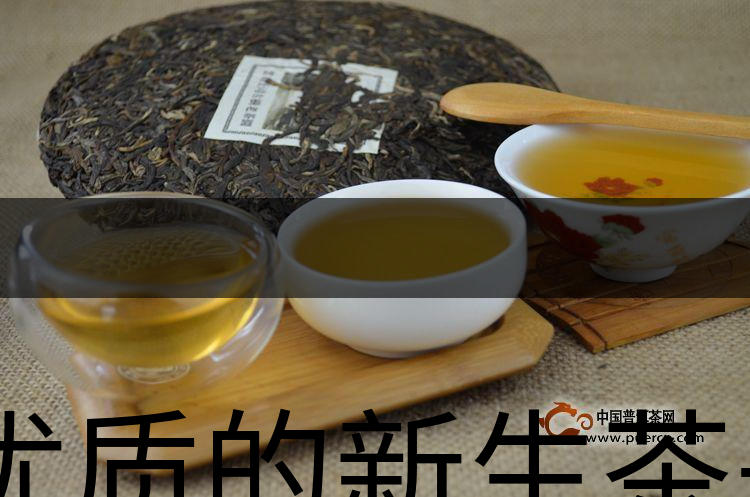 優(yōu)質(zhì)的新生茶是什么樣的？-1
