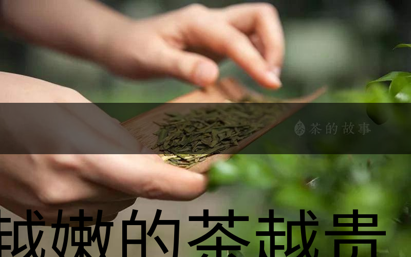 越嫩的茶越貴，但越貴的茶就越好嗎？