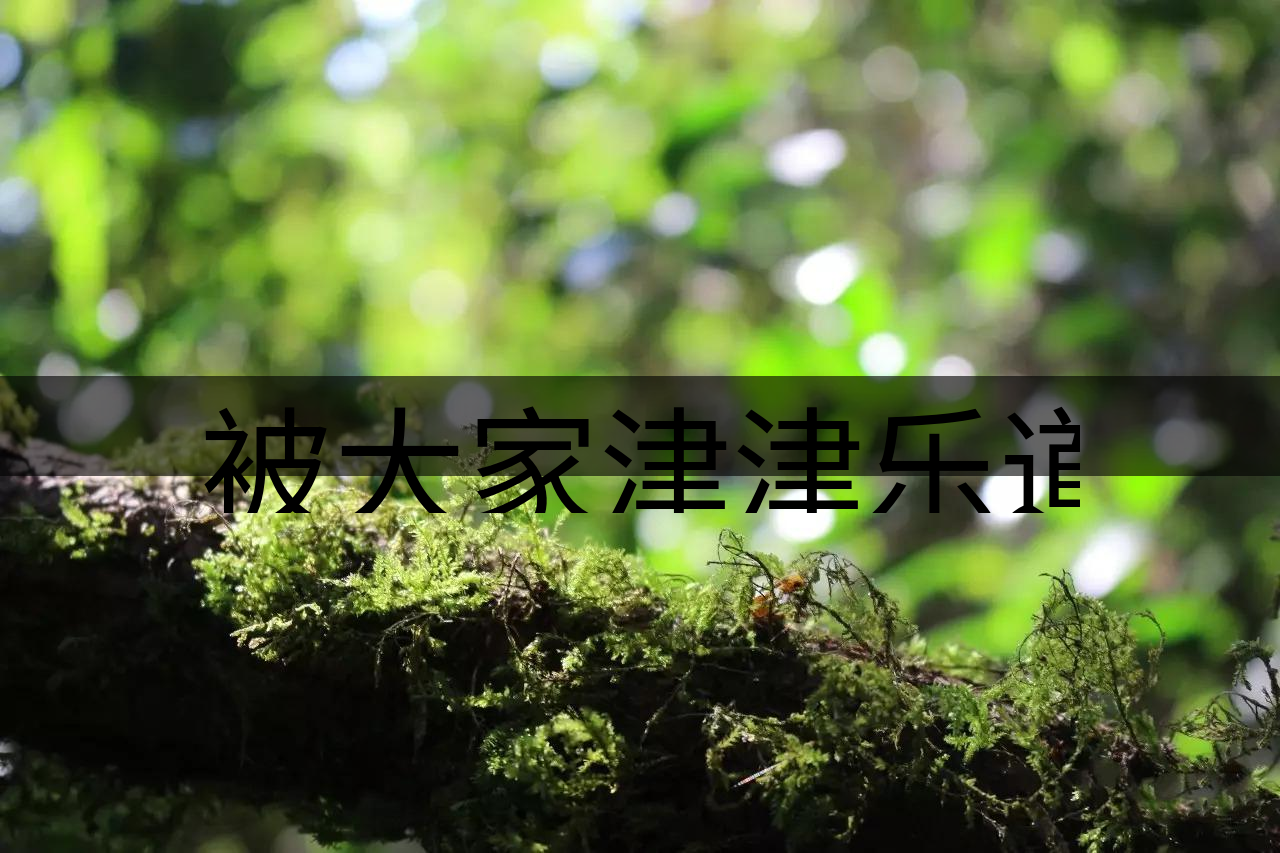 被大家津津樂道的森林茶，你知道是什么？-8-1