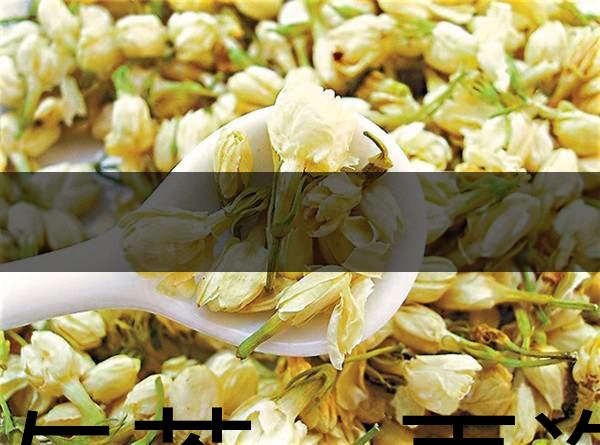 花與茶，再造茉莉之都——福州-1