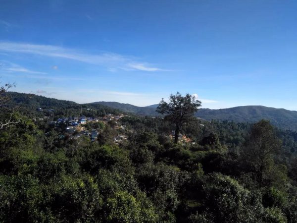 蘭香賀開，甘甜賀開