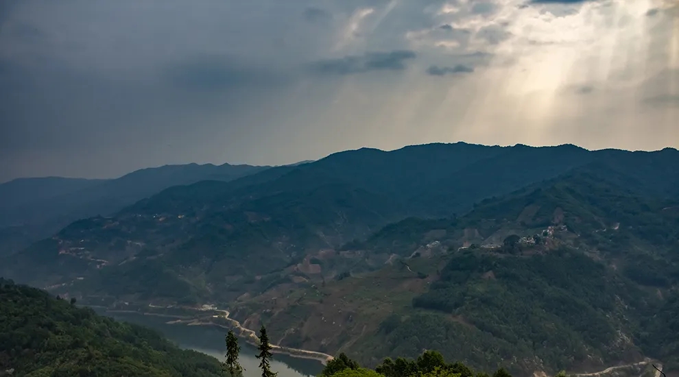 2021年磨烈：風(fēng)頭正勁的后起之秀，到底有何特點(diǎn)？