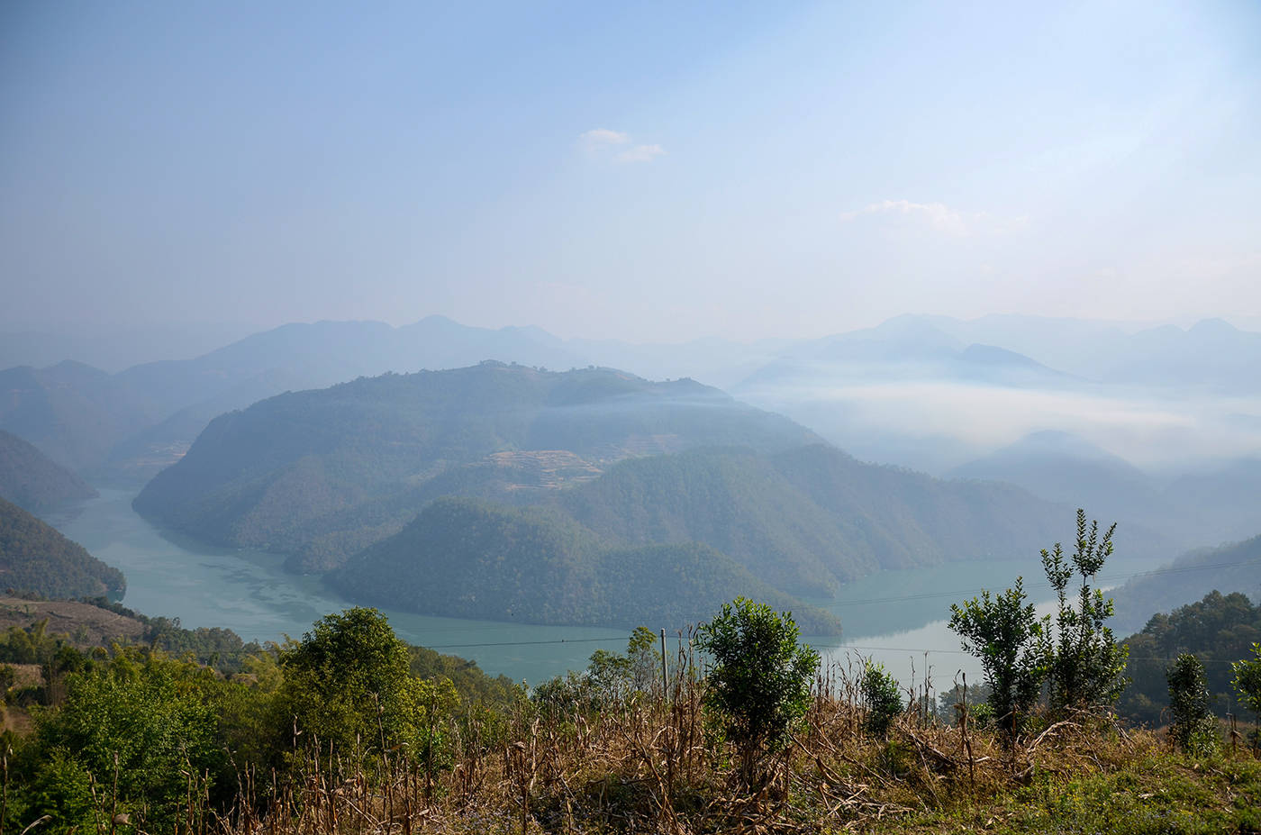 2021年白鶯山古樹秋茶，佛茶有什么魅力？