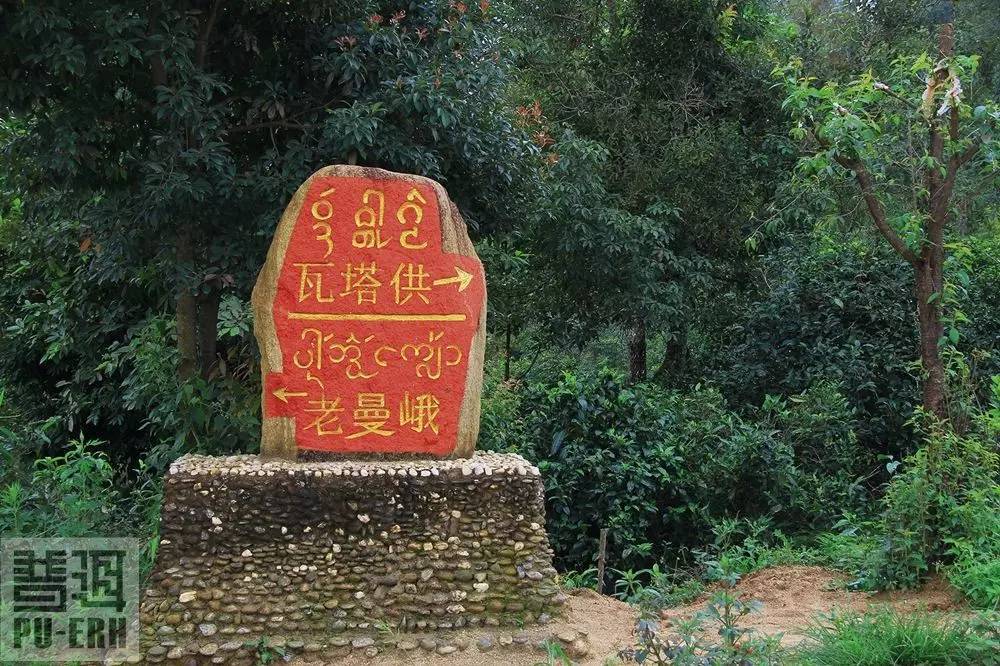 2021年老曼峨古樹(shù)秋茶價(jià)格多少？