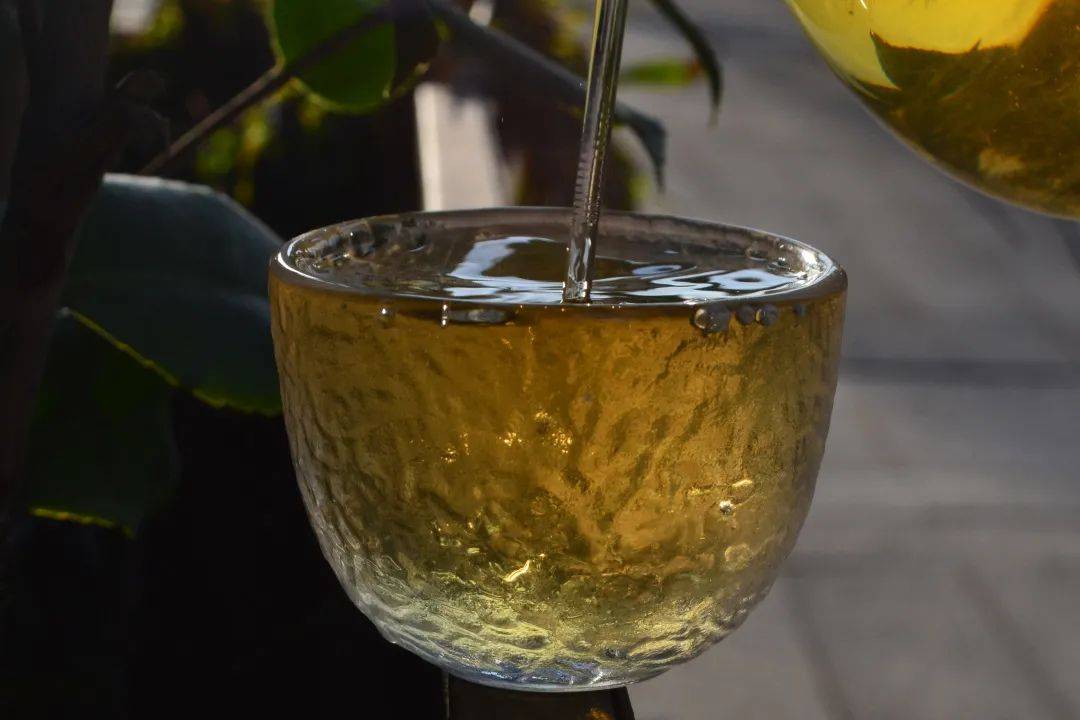 2021班章茶區(qū)壩卡竜古樹秋茶口感是什么？