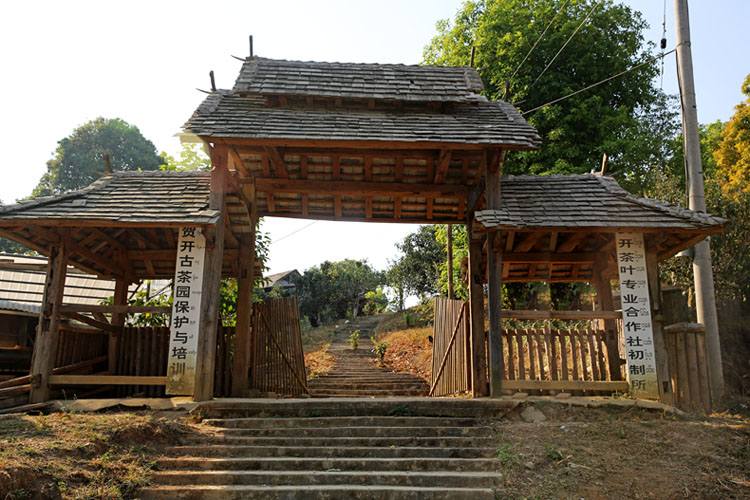 2021年賀開古樹秋茶特點？