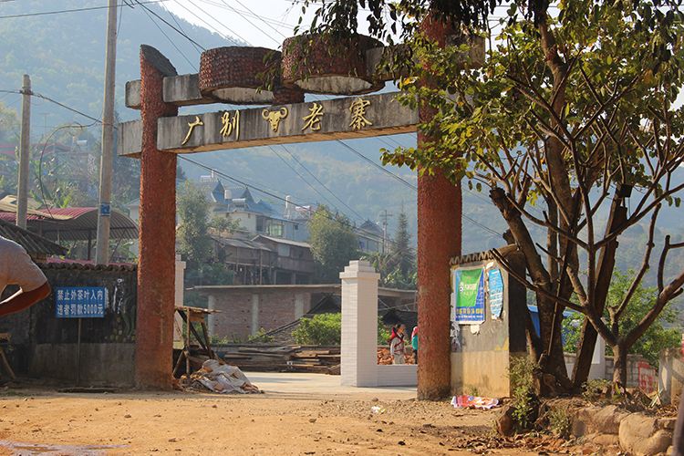 2021年廣別老寨古樹秋茶口感？