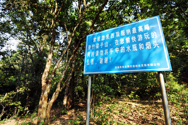 2021年滑竹梁子古樹秋茶價格？