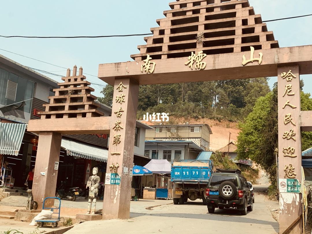 2021年南糯山半坡老寨古樹秋茶多少錢一公斤？