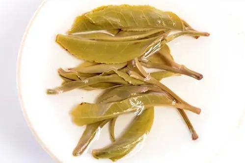 2021年南糯山拔瑪老寨古樹秋茶多少錢一公斤？