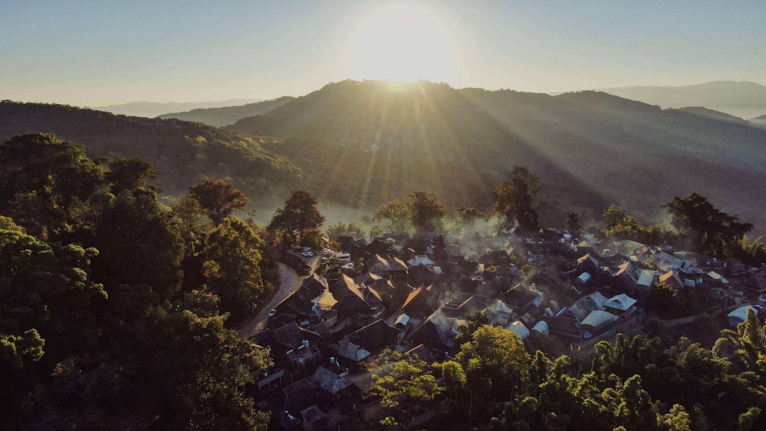 2022年景邁山古樹春茶特點？