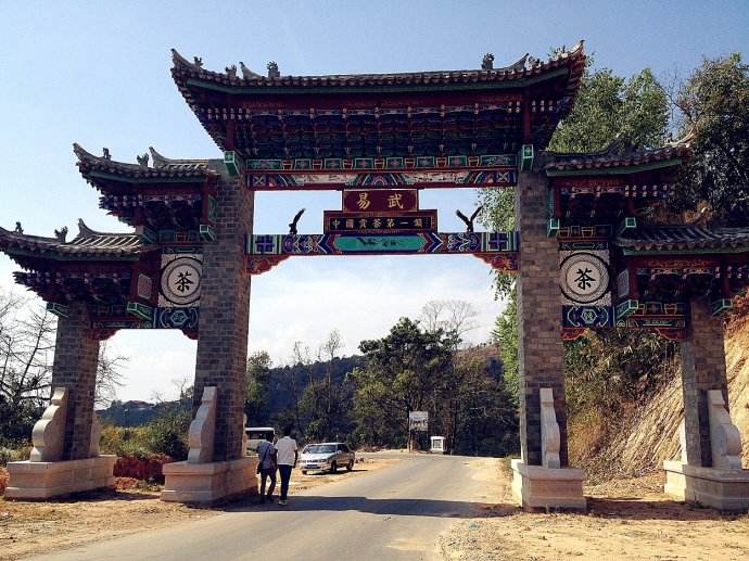 2022年易武正山古樹春茶價格？