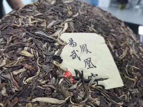 2022年鳳凰窩古樹(shù)高桿，鳳凰筑巢的地方