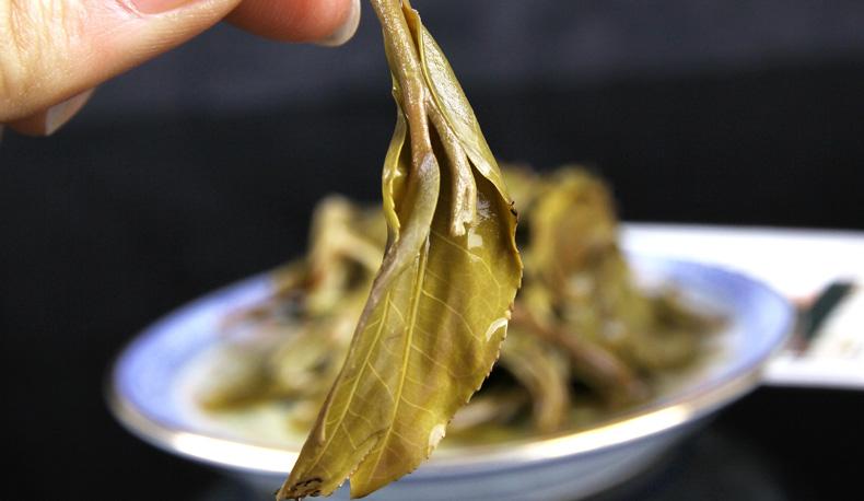 2022年冷水河古樹(shù)春茶價(jià)格？