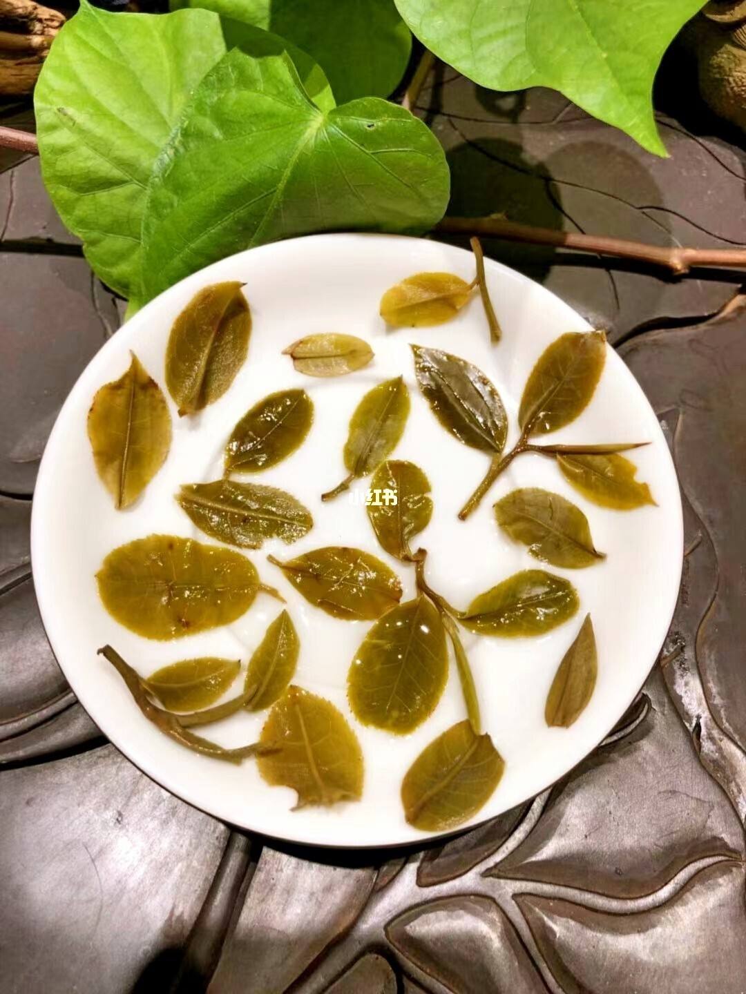 2022年倚邦貓耳朵古樹春茶多少錢一公斤？