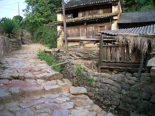 2022年蠻磚古樹春茶特點？