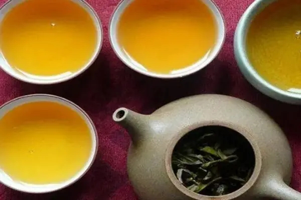 2022年普洱茶怎么泡法才正確？