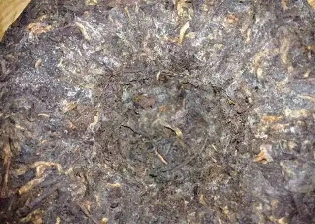 2022年普洱茶受潮發(fā)霉了怎么辦？