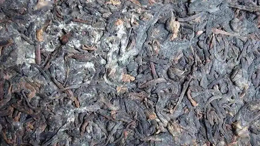 普洱茶怎么樣才算發(fā)霉？