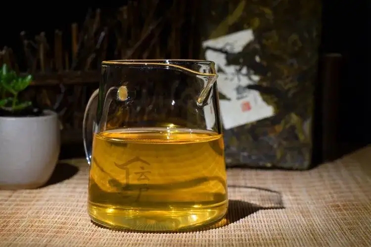 有茶油的普洱茶正常嗎？茶油是如何形成的？