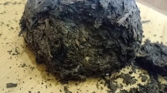 普洱茶蟲子怎么辦？