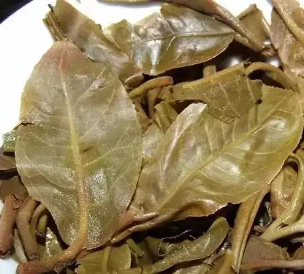怎么看古樹(shù)普洱茶葉底？