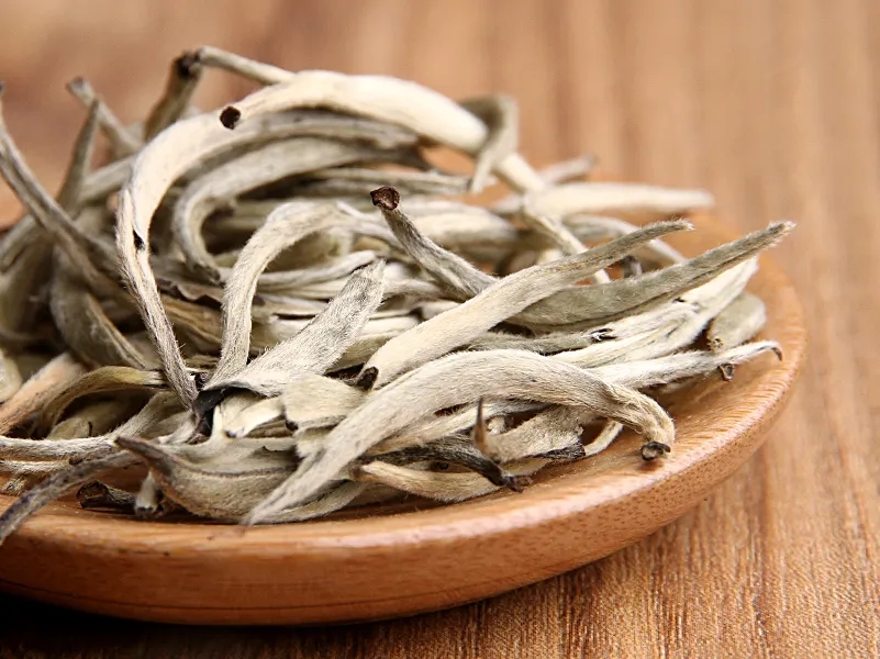 福鼎白茶、安吉白茶、云南月光白“三白”的區(qū)別