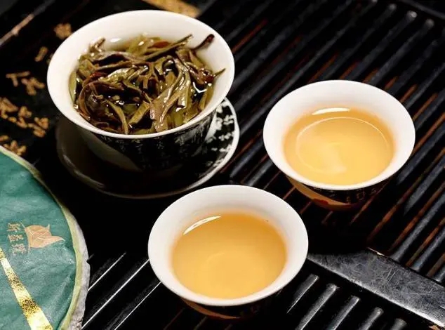 茶會“說話”，讀懂云南古樹普洱茶的秘訣