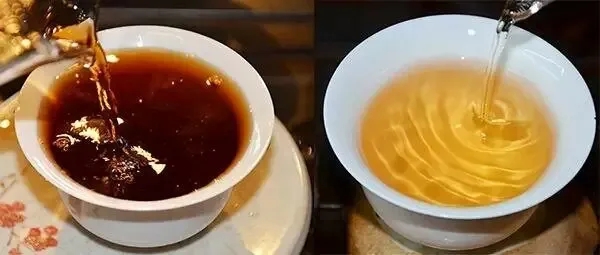 普洱茶湯怎么也會“出油”？