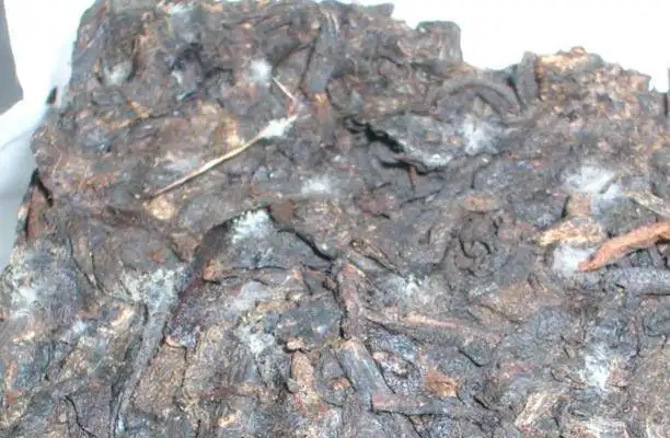 ?普洱茶發(fā)霉了怎么辦？教你妙招應對發(fā)霉的普洱茶！