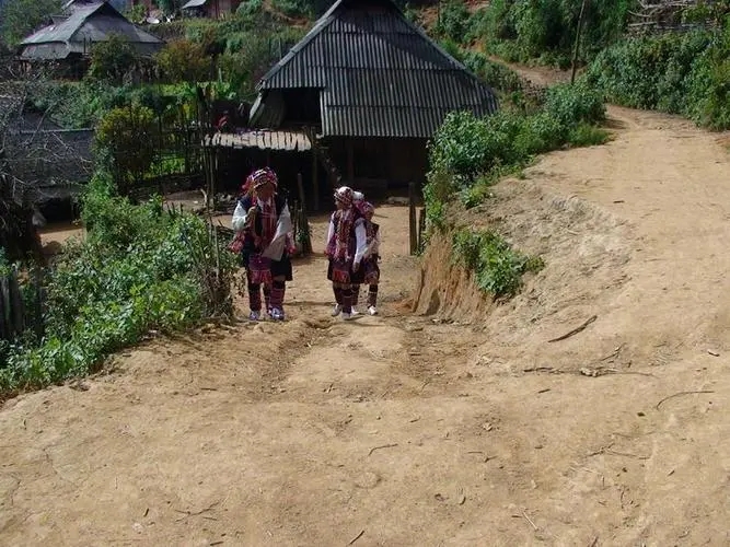 2022年的春天，古樹味道從犀牛塘開始！