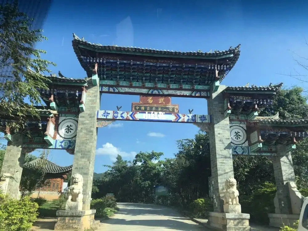 古樹茶年份越老，茶葉就越好嗎？影響茶葉品質(zhì)的因素有哪些？