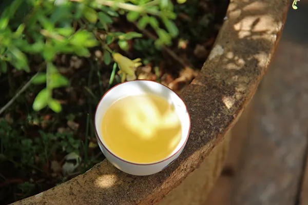 普洱茶越苦澀就代表品質(zhì)越好嗎？