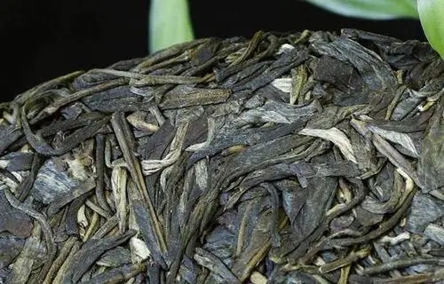 喝普洱茶，一定要喝老茶嗎？