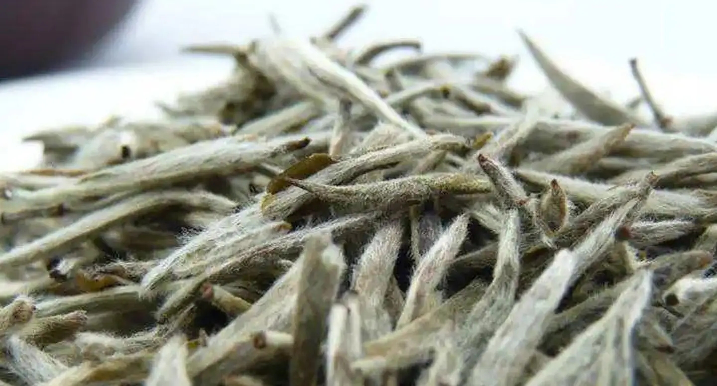 茶毫越多的茶，品質(zhì)就越高嗎？