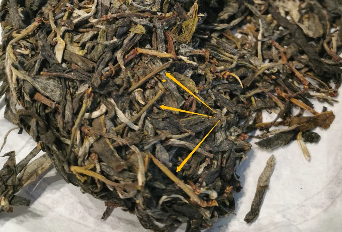普洱茶的葉底有茶梗，就是茶不好嗎？