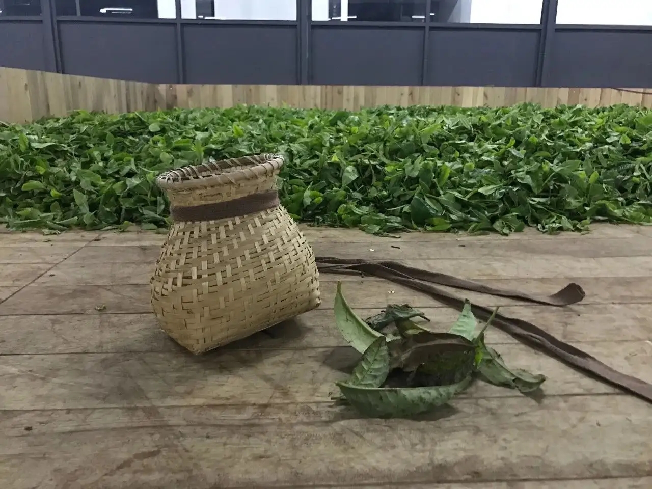 普洱茶，如果不談山頭，我們談什么？