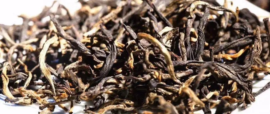 什么是茶氣？茶氣強勁又是一種怎樣的體驗？