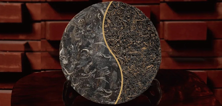 一入普門深似海？入普洱門前，你需要了解這些