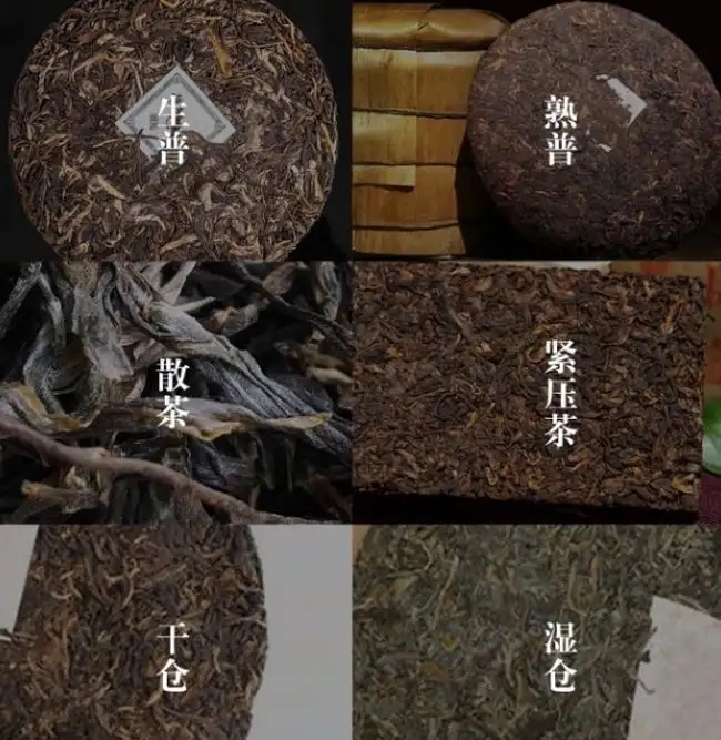普洱茶不是越陳越香嗎？怎么也有最佳品飲期？