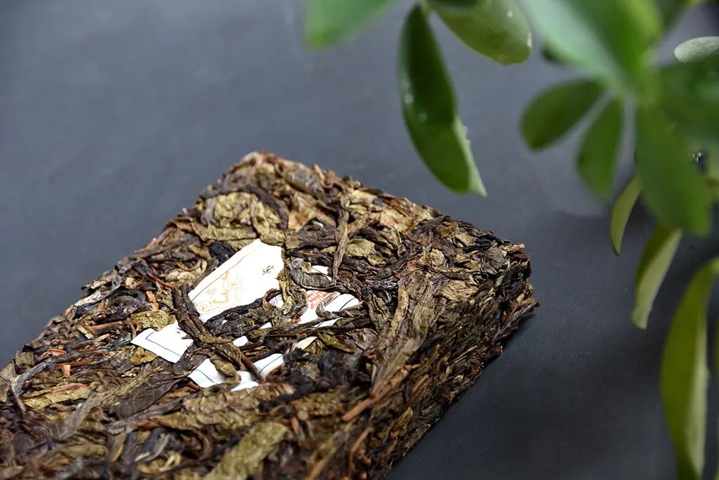 普洱茶古樹黃片，性價(jià)比超高的口糧茶，有骨有肉香甜順