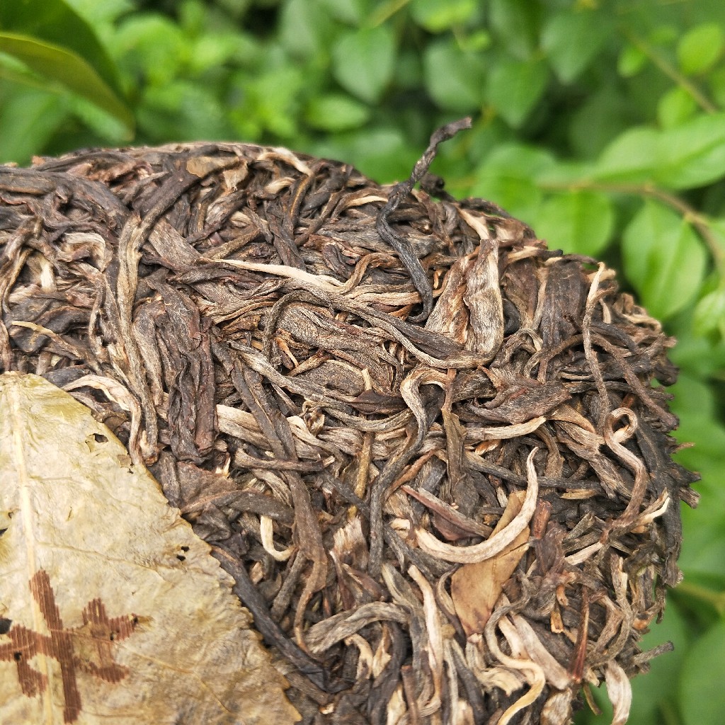 2023年班盆古樹春茶多少錢一公斤？