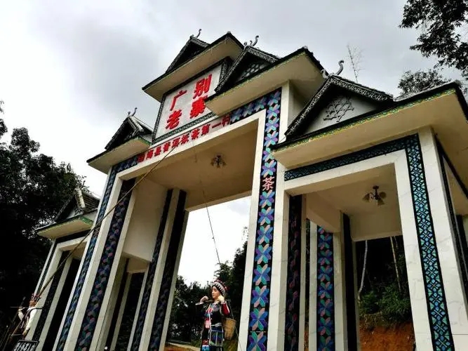 2023年廣別老寨古樹春茶品質如何？