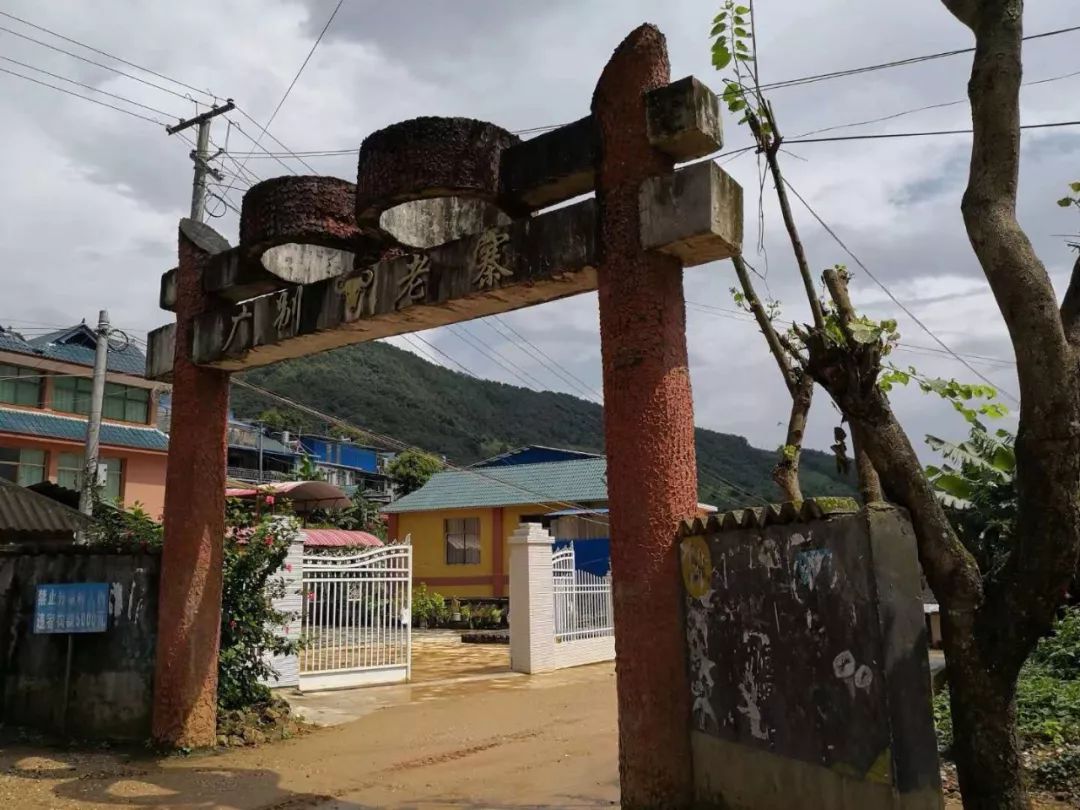 2023年廣別老寨古樹春茶價格多少？