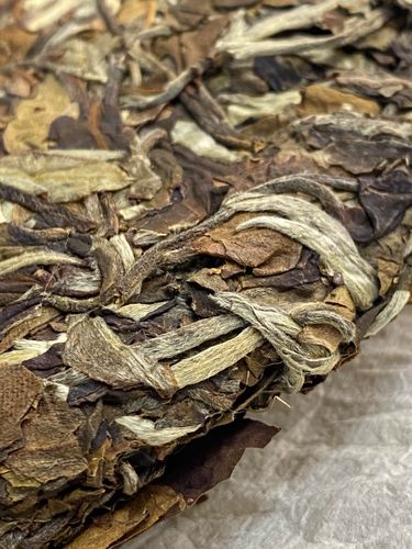 2023年拔瑪老寨古樹春茶特點(diǎn)是什么？